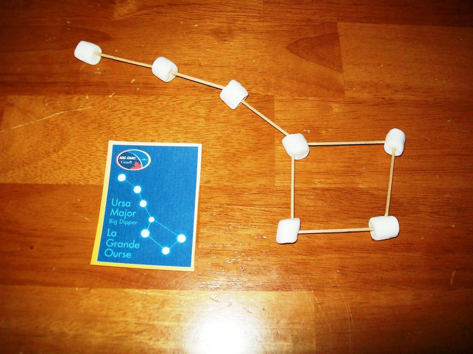 Life At Sea Unit with Free Printables - Every Star Is Different