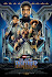 Black Panther Poster