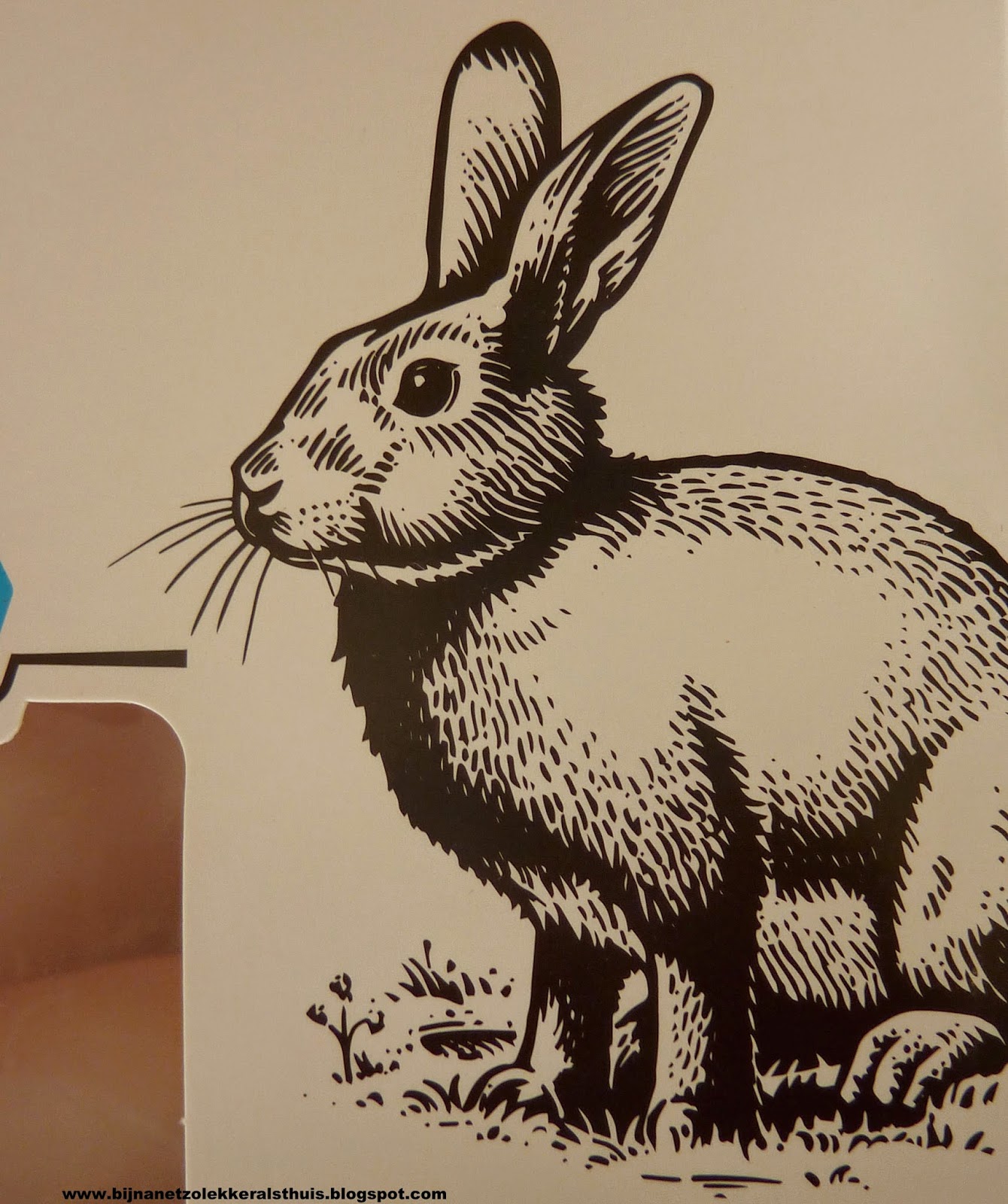 bijna net zo lekker als thuis Konijn met chorizo en paprika en gesmoorde groene kool met appel