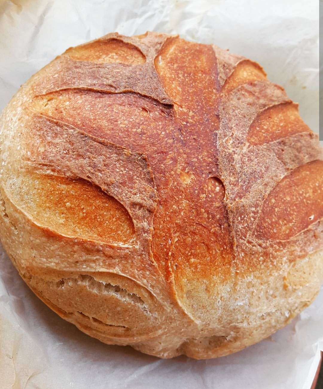 Karanfilli Ekmek Karanfilli Ekmek