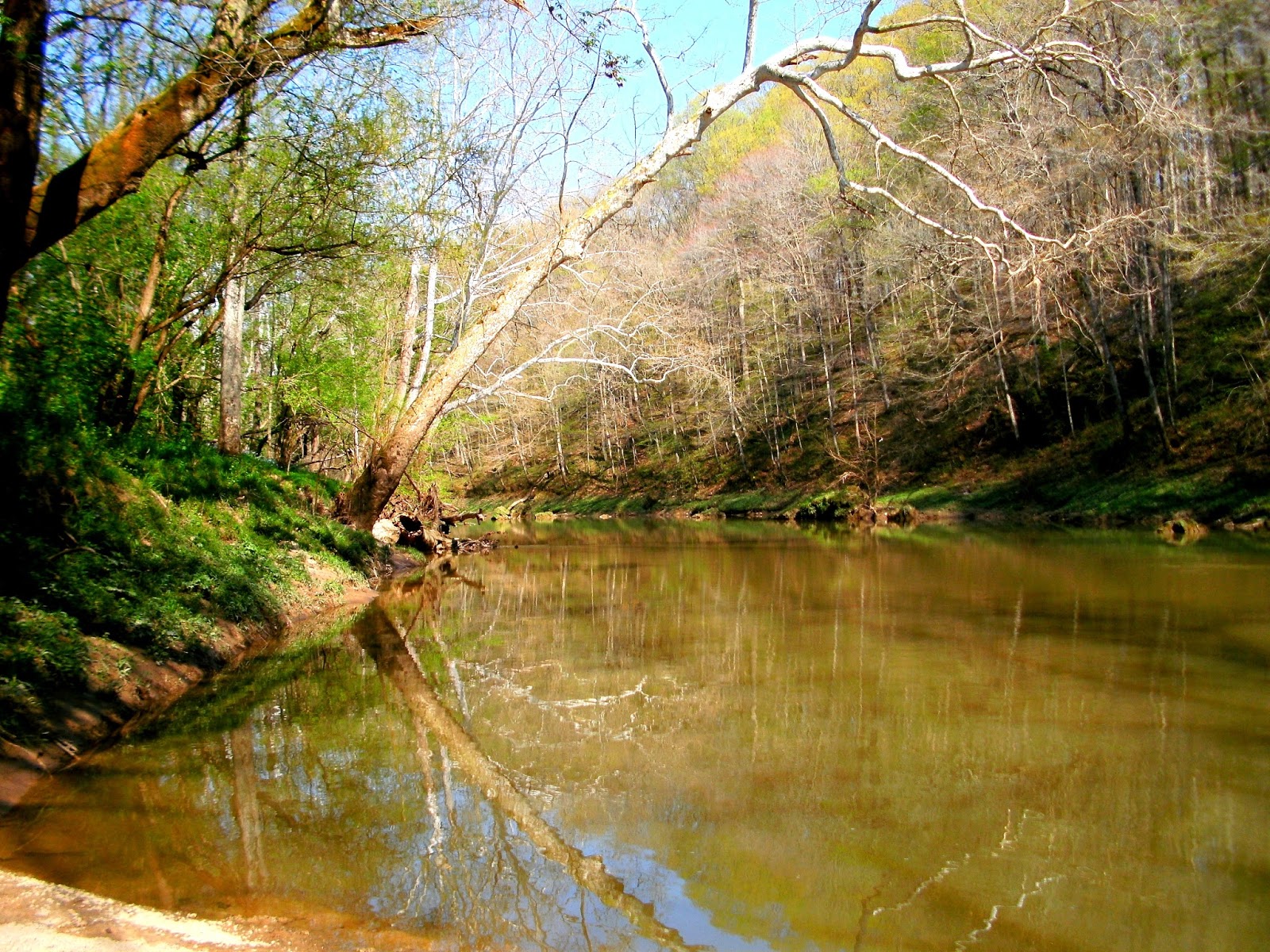 Muscatatuck River