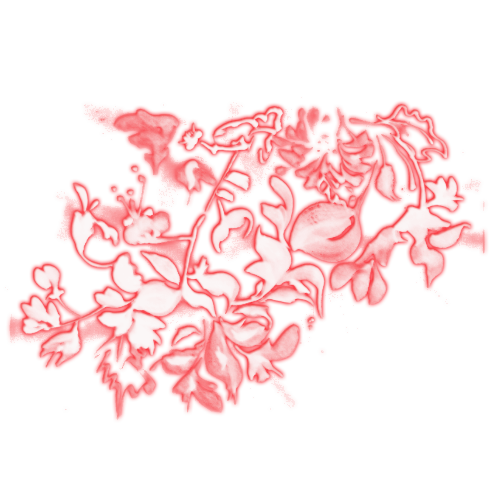 Photoscape & Effects and Tutorials Glowing Floral Effects