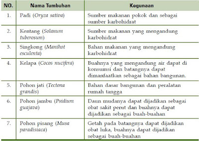 Manfaat Kingdom Plantae atau Tumbuhan Bagi Kehidupan Manusia