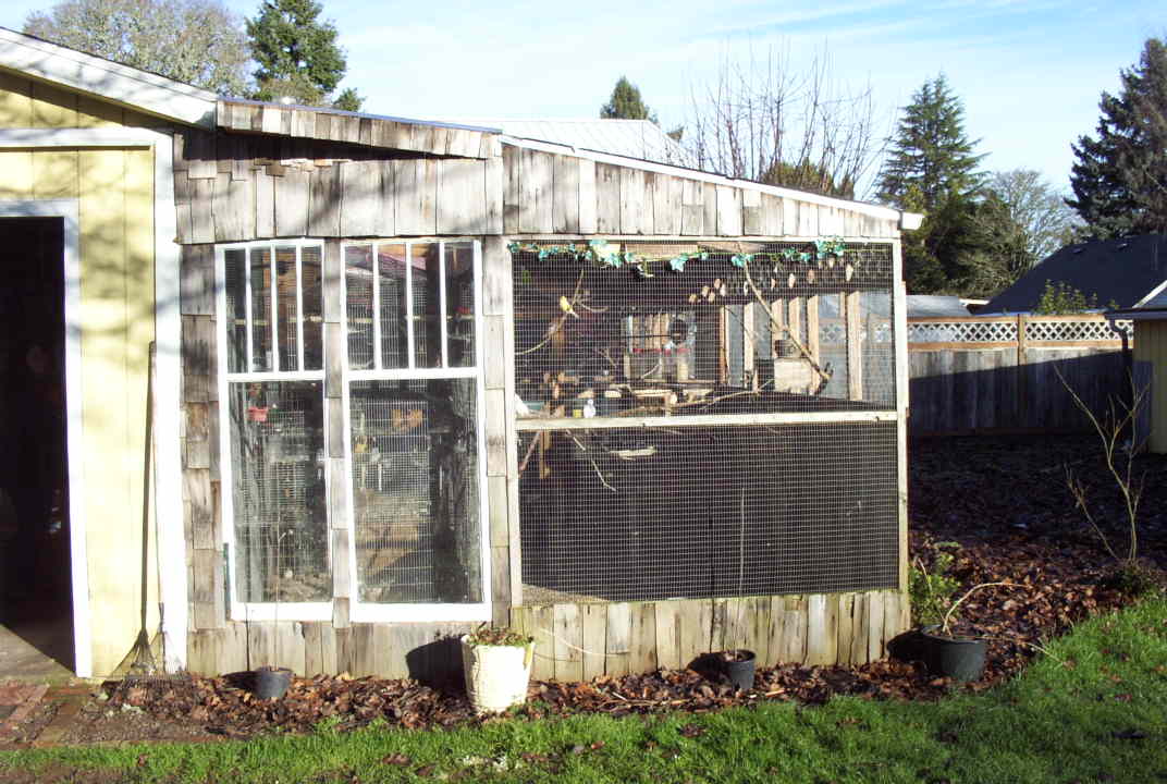 The Splendid Bourke Bird Blog Bird Aviaries, Outdoor and Indoor