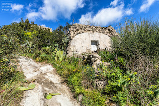 Campagnano Ischia, Grotta Ischia, Isola d' Ischia, Mare Ischia, Monte Vezzi Ischia, Paesaggi Ischitani, Piano Liguori, San Pancrazio Ischia, trekking Ischia, Ulivi Ischia, 