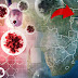 Ο ιός Έμπολα. Πώς μεταδίδεται, τι είναι, ποια τα συμπτώματα και πώς θεραπεύεται;