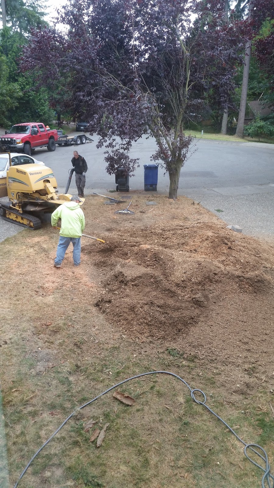 Brads Stump and Tree Service Arlington, Washington Stump Removal and