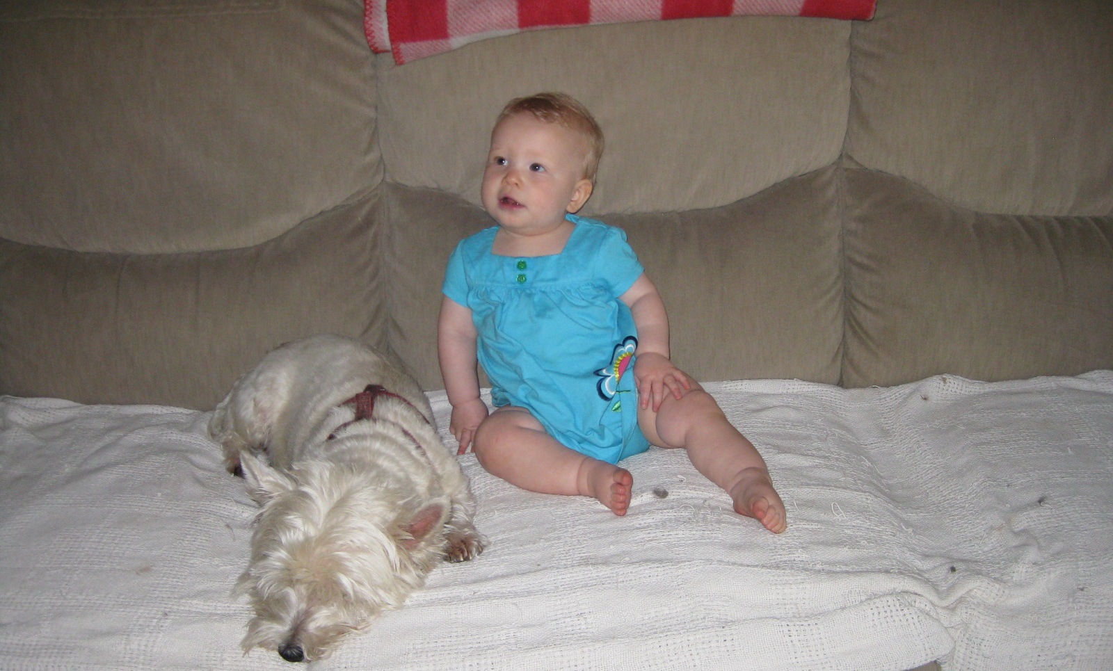 What To Do If Baby Won T Take Formula