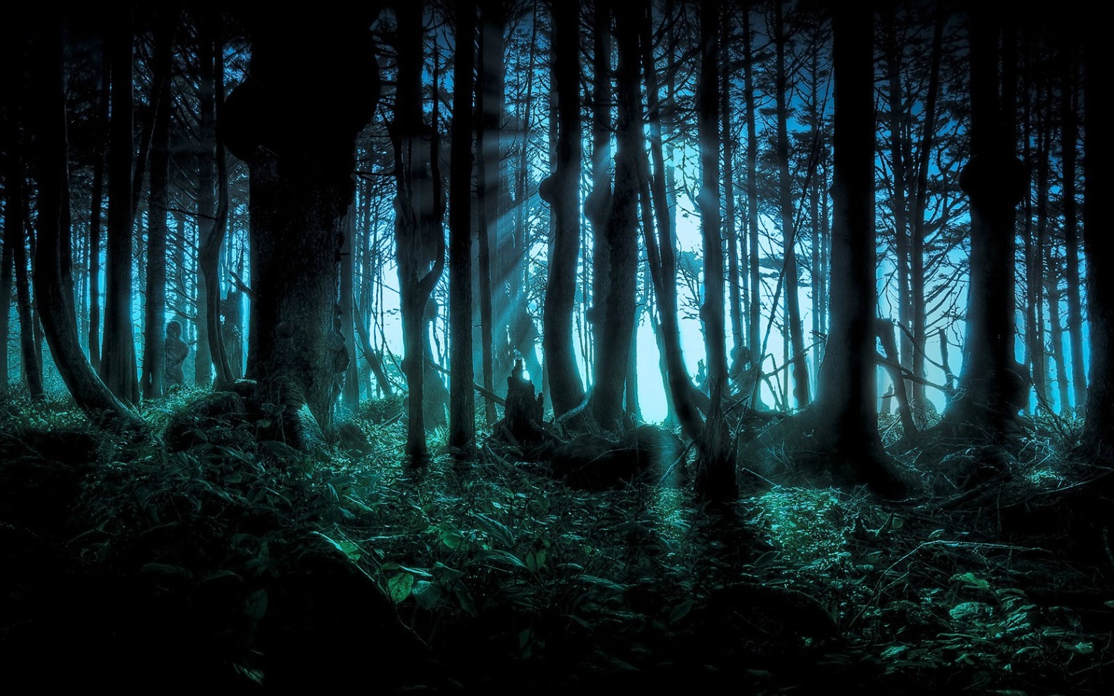 Forest Wallpapers Forest Wallpapers