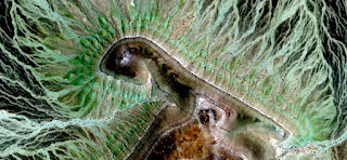 Fern allegory about to open and unfinished as an animal ready to make the leap of his life, landscapes of deserts of Africa from the air, Munimara collection of Abstract Naturalism, Fern allegory about to open and unfinished as an animal ready to make the leap of his life, landscapes of deserts of Africa from the air,