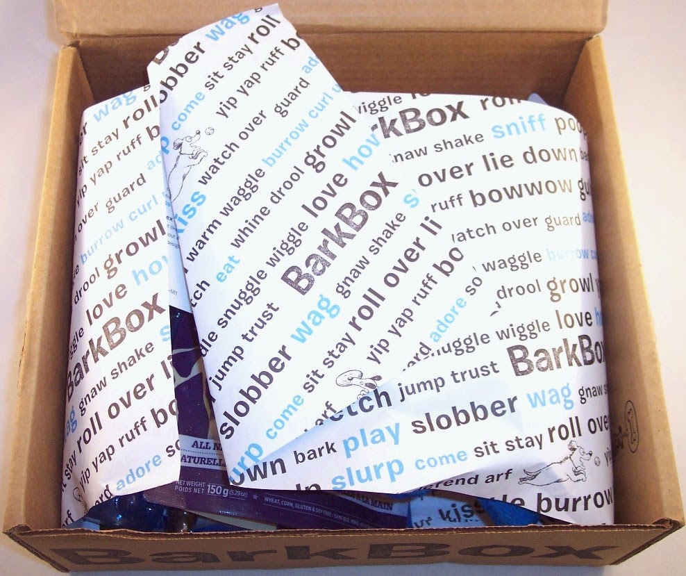 Lone Star Shopper BarkBox Dog Subscription Review, January 2015 + 10