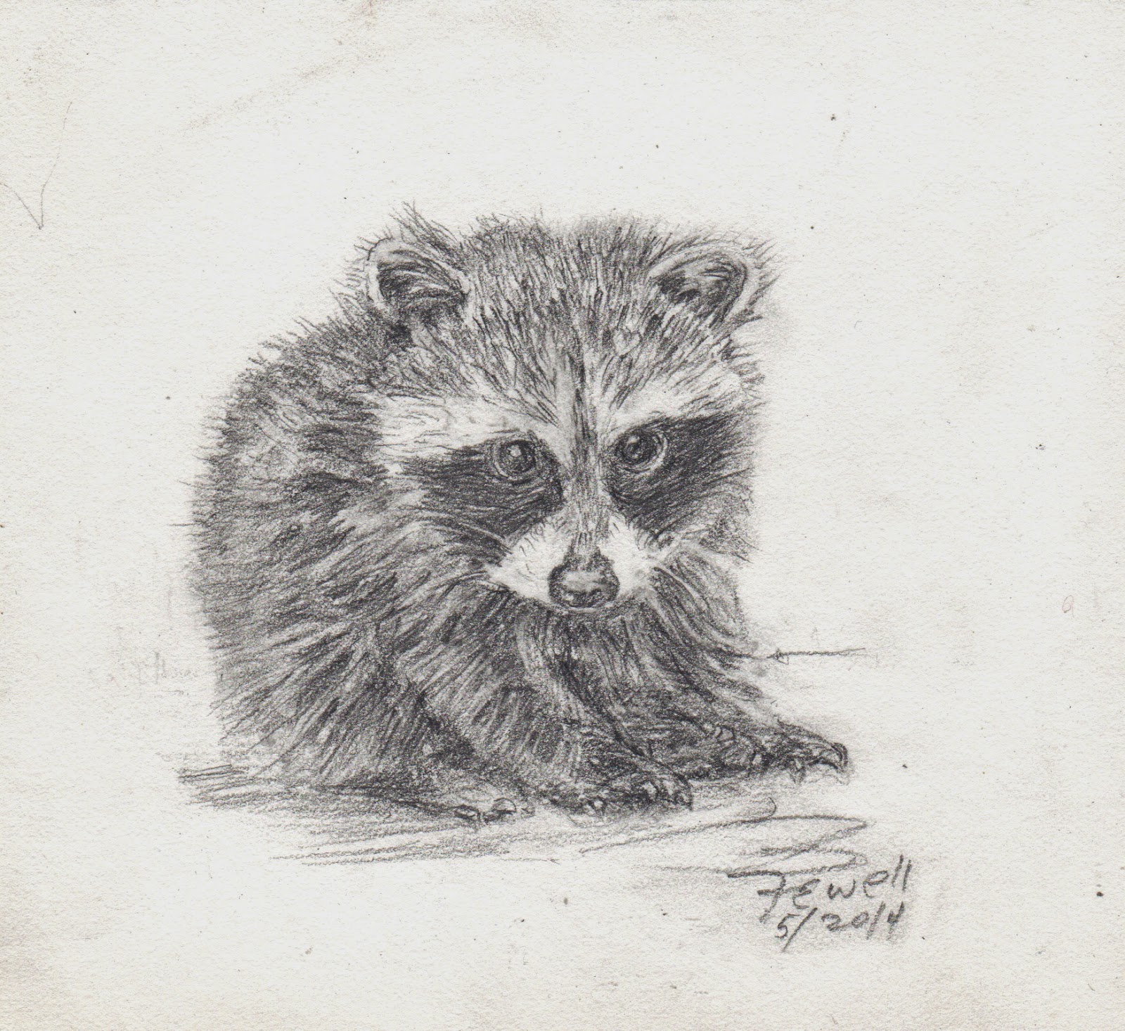Cute Baby Animal Drawings : Sydney Hanson's beautiful illustrations of