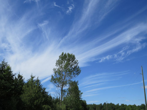 summer sky