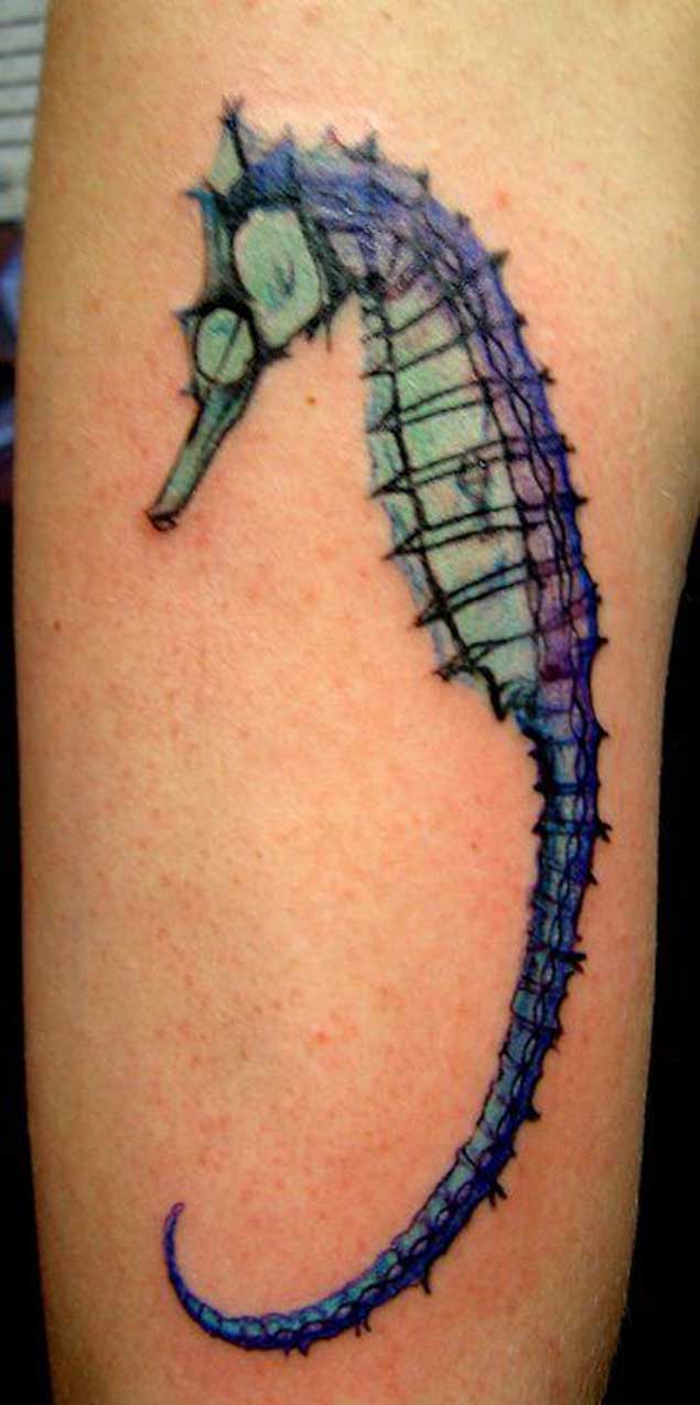 Tatuaje See-through caballito de mar