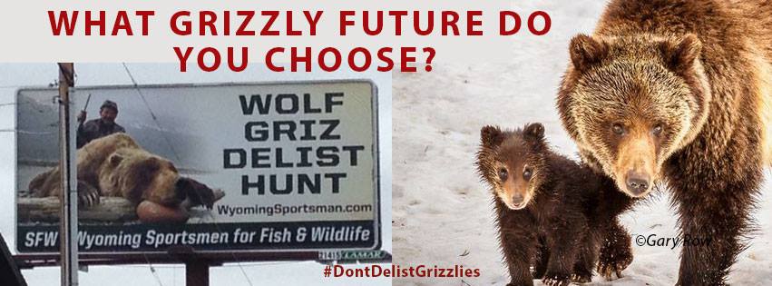 Don't Delist Grizzlies