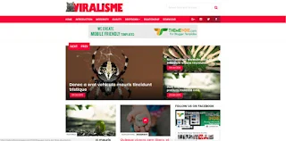 Viralisme responsive magazine blogger template