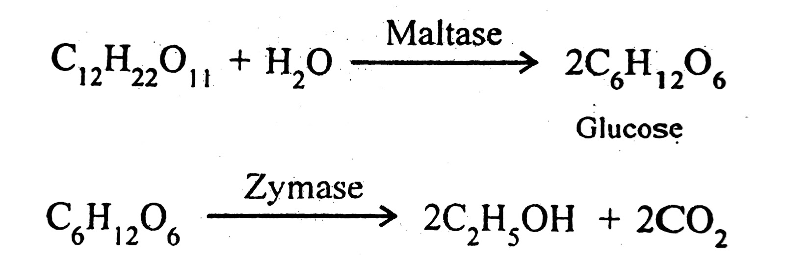 Spice of Lyfe Chemical Equation For Alcoholic Fermentation