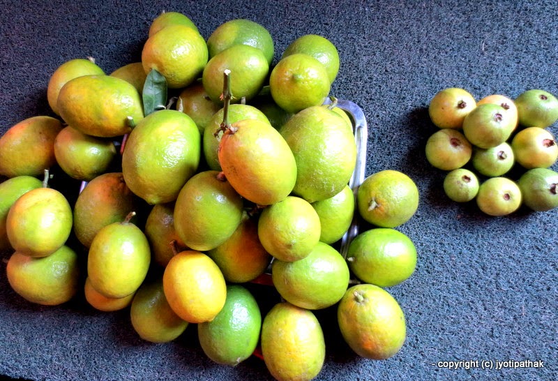 Taste of Nepal Glossary of Common Fruits of Nepal (EnglishNepali) Part 2