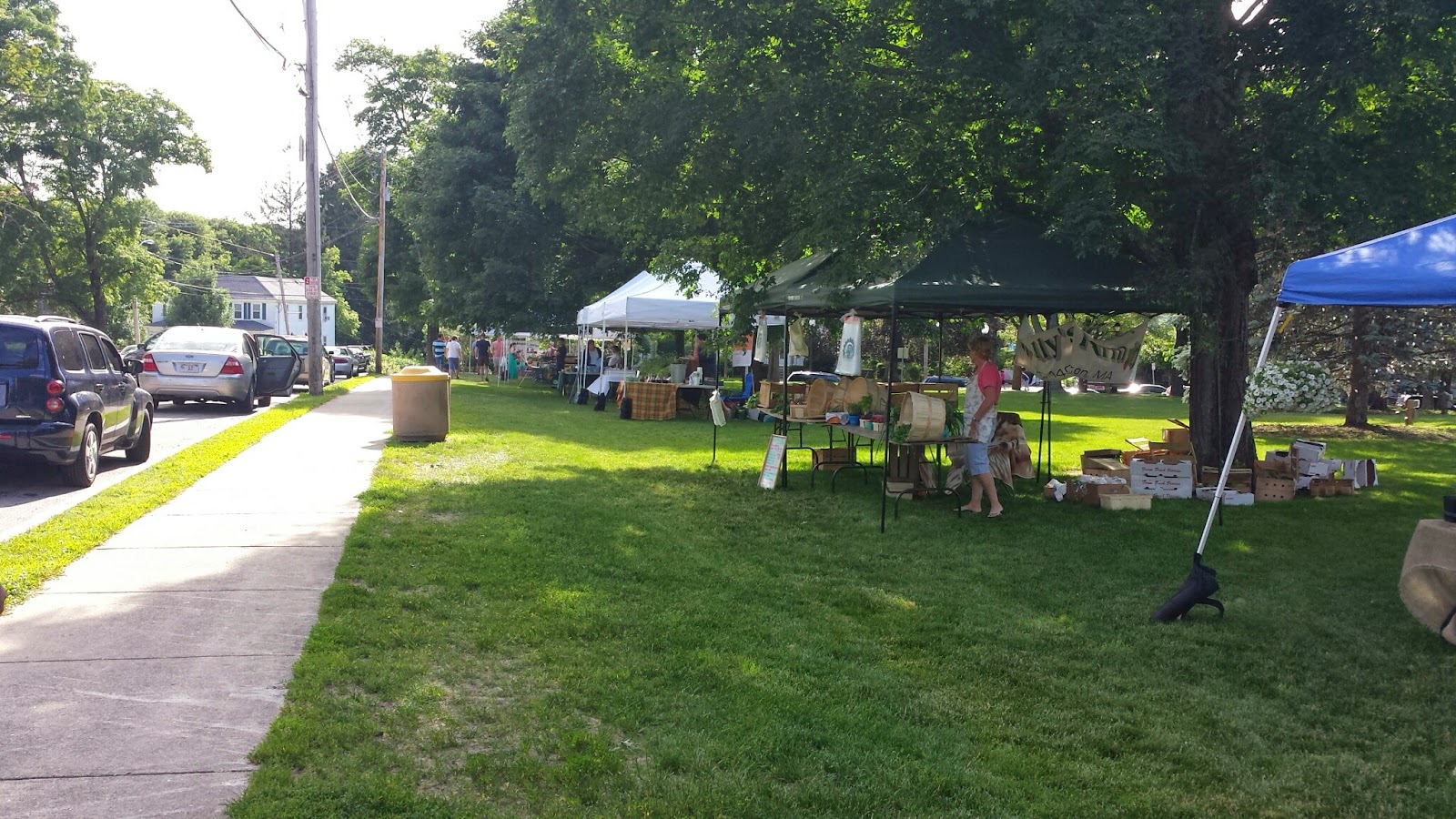 Farmers Market scene from July 2014