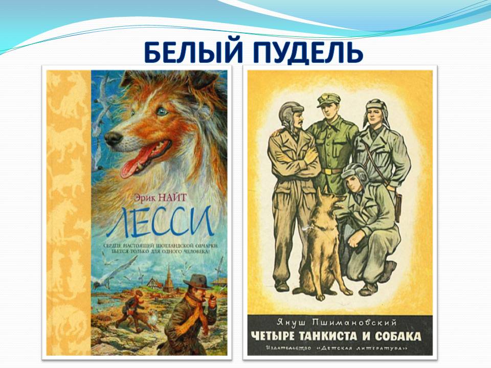 а. план пудель. собака герой произведения. куприн белый пудель план произведения. план пересказа белый пудель куприна.