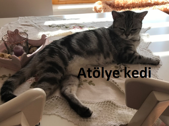 Atölye Kedi Cumadan Pazara…