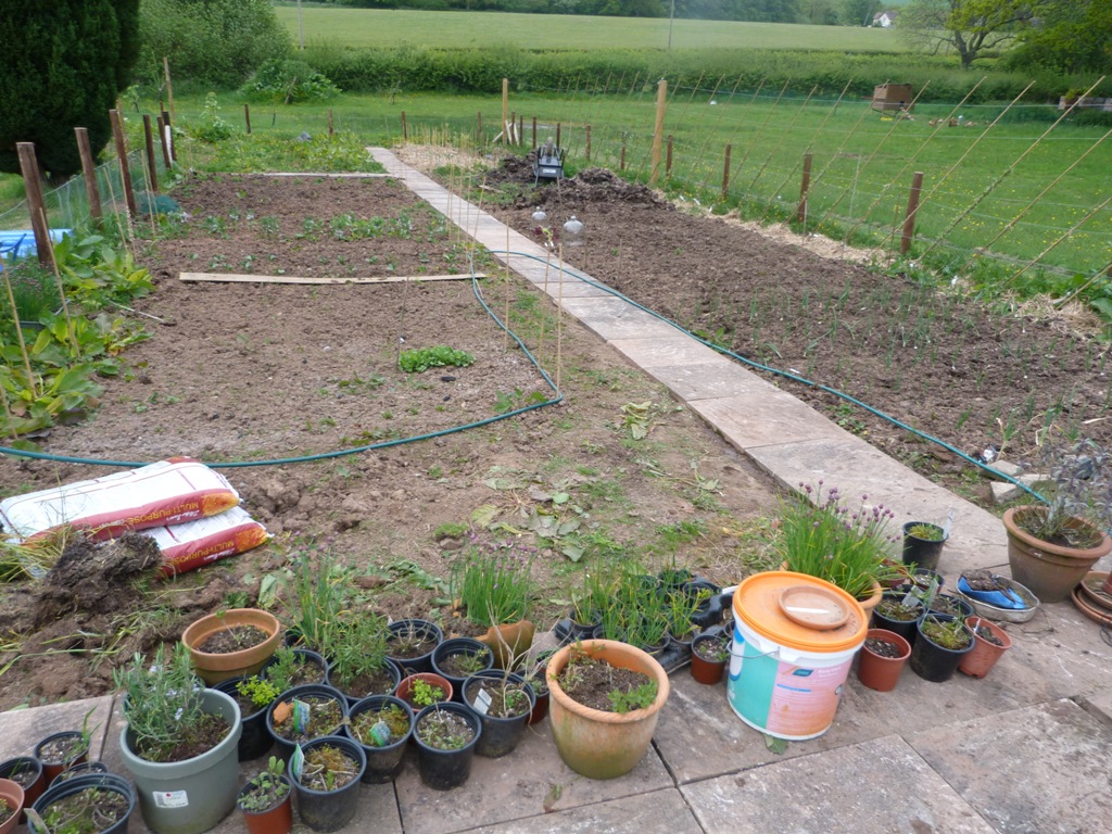 An English Homestead: Garden Path