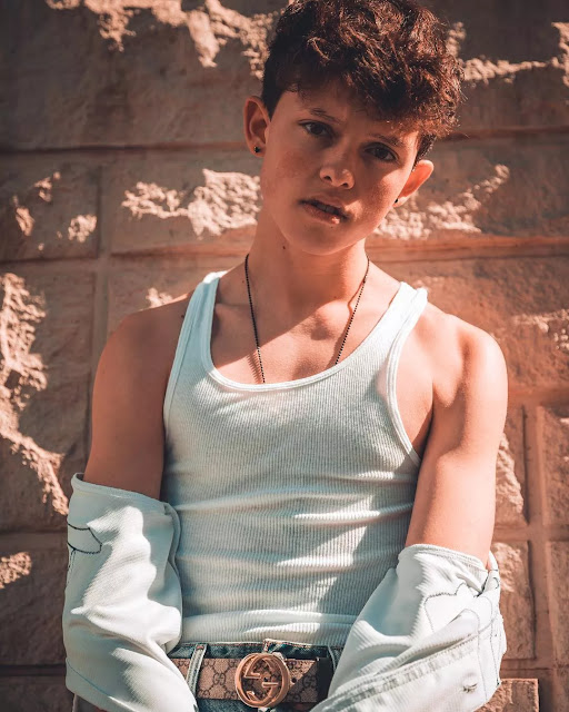Jacob Sartorius biodat, Jacob Sartorius abs