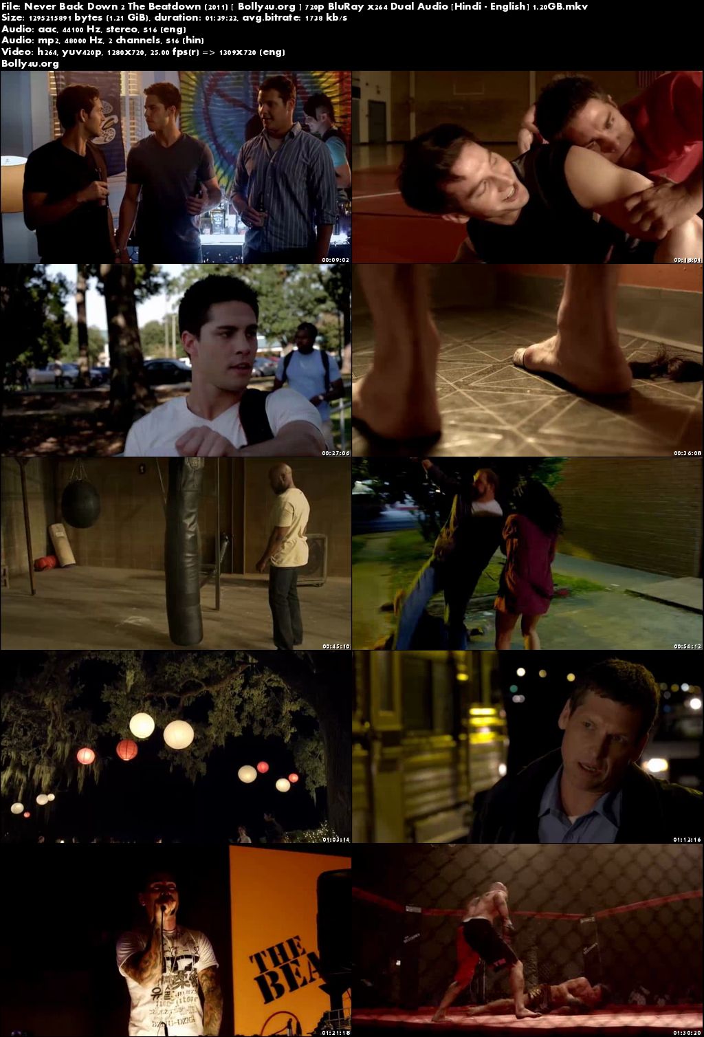 Never Back Down 2 The Beatdown 2011 BluRay Hindi Dual Audio 720p Download