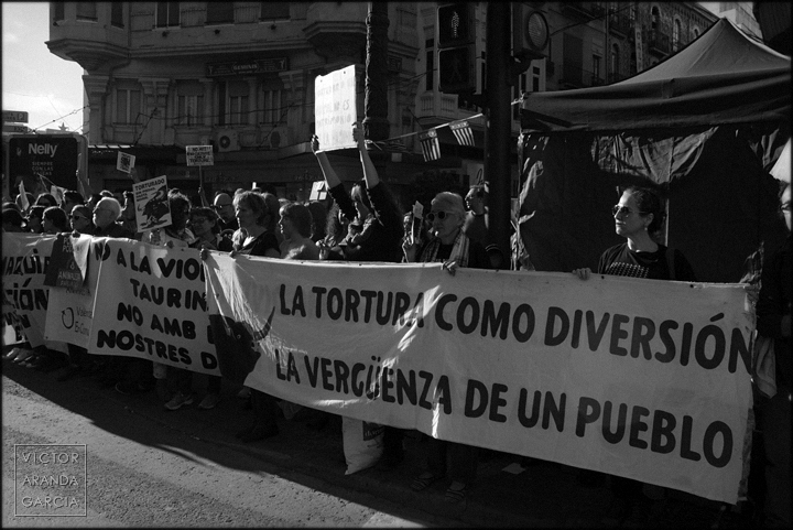 Protesta contra la tortura en las plazas de toros manifestación,fotografía,valencia,tortura,taurina,animalista