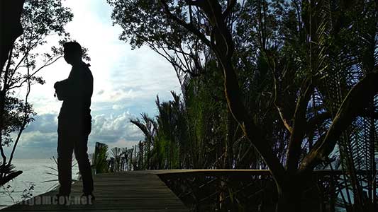 Mangrove Park di kawasan Menara Suar Tanjung Intan Desa Sungai Kupah Kubu raya