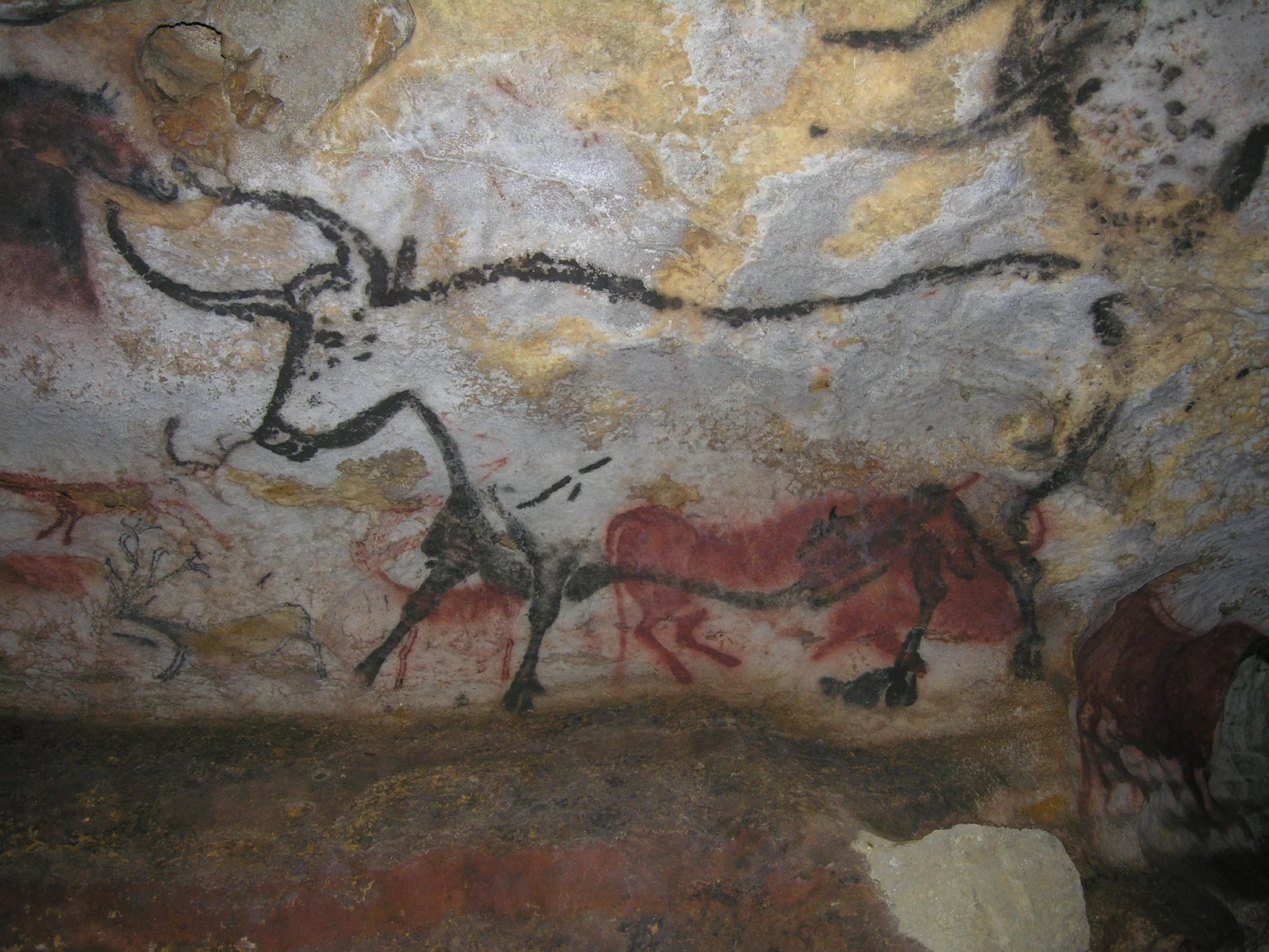 ラスコー洞窟の牛の壁画