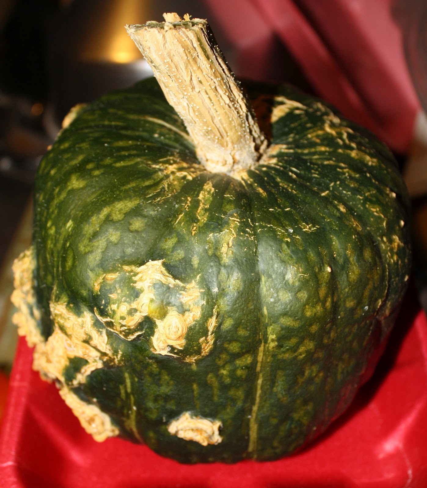 Collection 92+ Pictures Pictures Of Ripe Buttercup Squash Superb