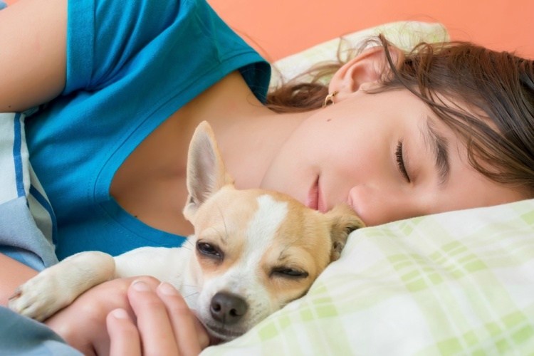Πώς τα σκυλιά μας βοηθούν να κοιμόμαστε καλύτερα!
