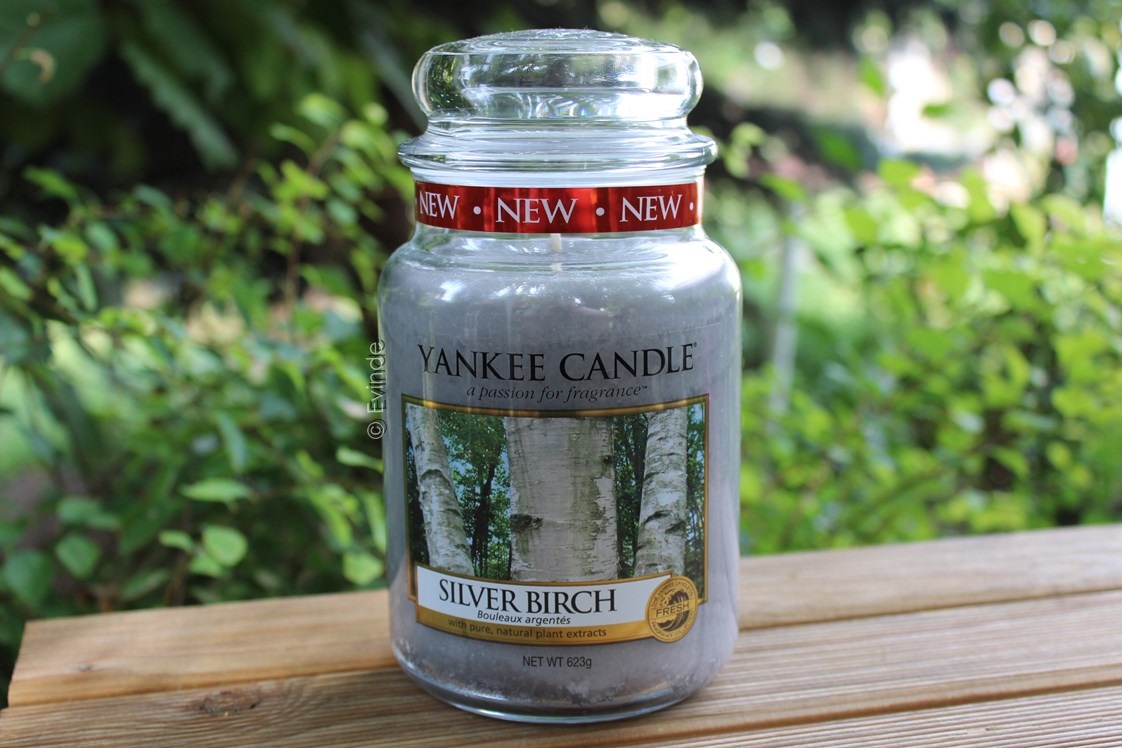 Yankee Candle Silver Birch - Original Large Jar Scented Candle 