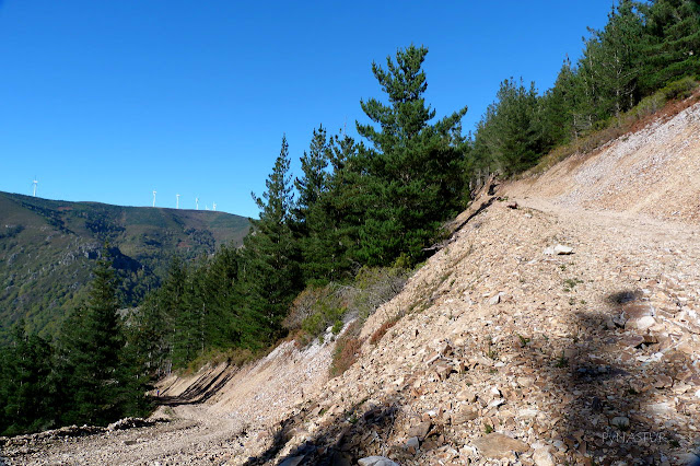 Pista de subida al Pico Balongo - Ruta del Silencio Pista de subida al Pico Balongo - Ruta del Silencio