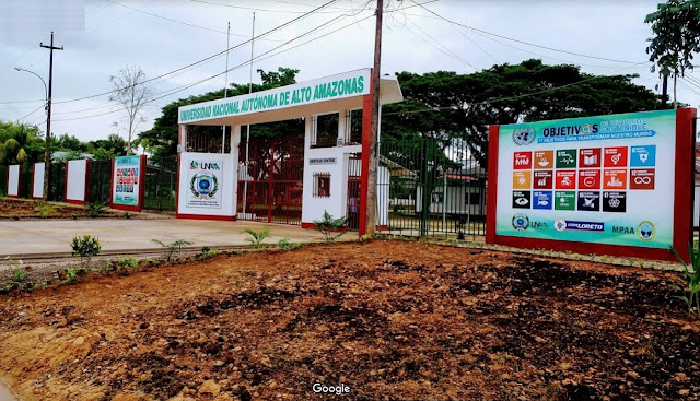 Universidad Nacional Autónoma de Alto Amazonas - UNAAA