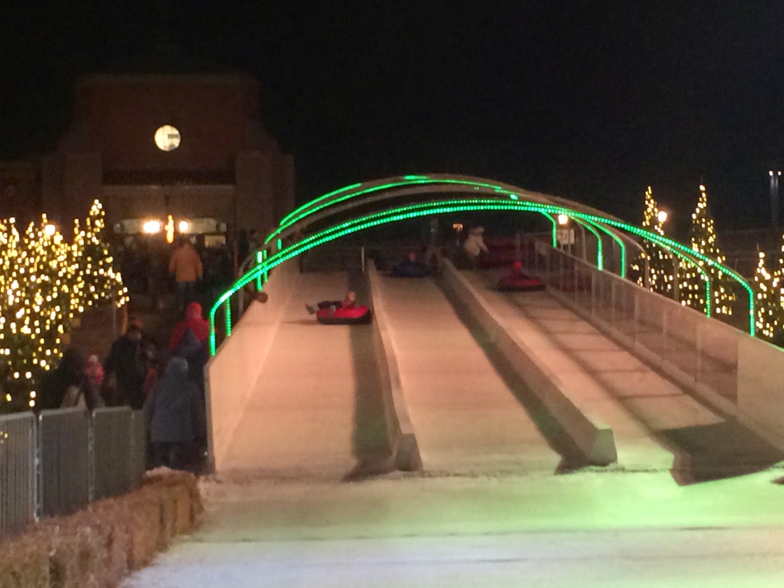 A GEEK DADDY The Lights Before Christmas Toledo Zoo