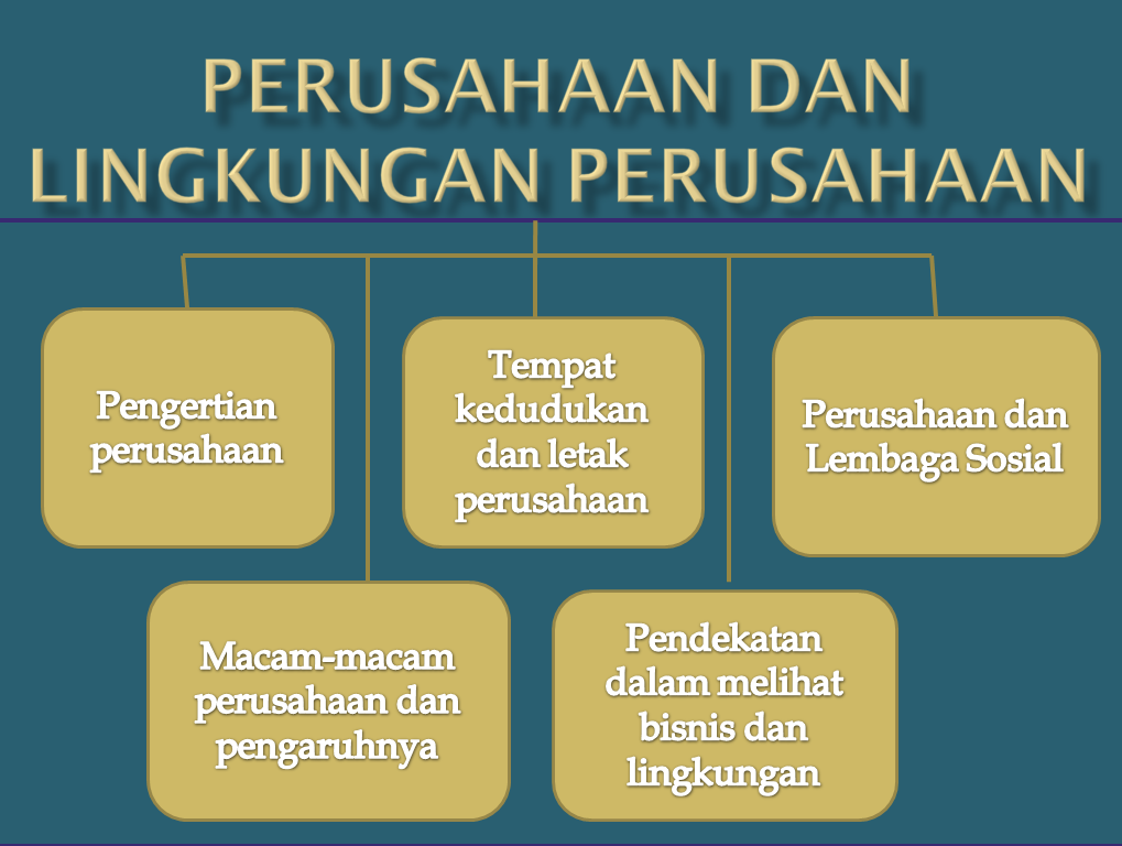Vinnike Hermawanty: Perusahaan dan Lingkungan Perusahaan