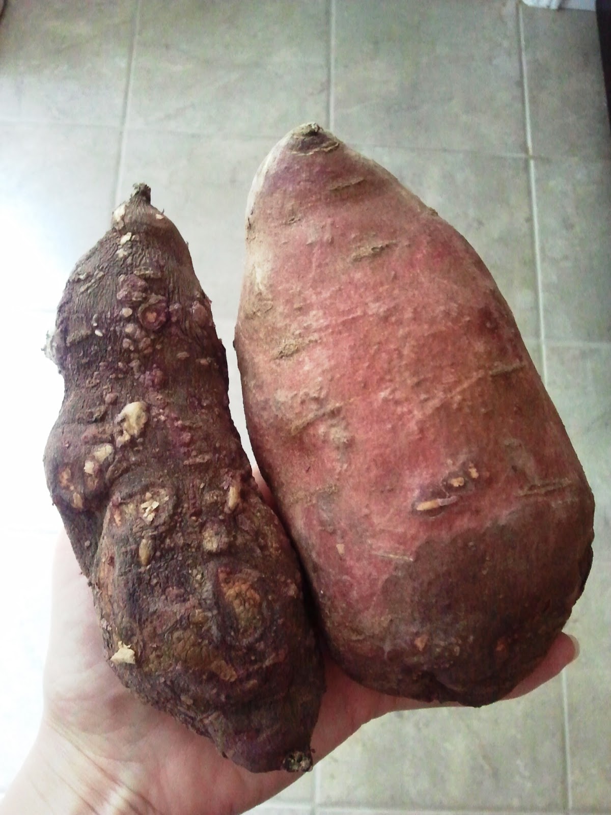 All Natural Katie Wordless Wednesday What Happened to the Yam?