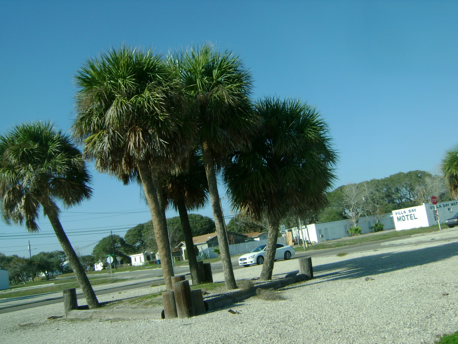 Driving Ms Daisy Corpus Christi, Tx