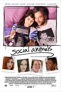 Social Animals Poster