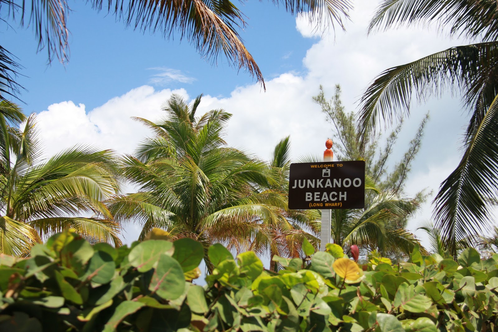 The Dainty Baker Nassau Bahamas vrogue.co