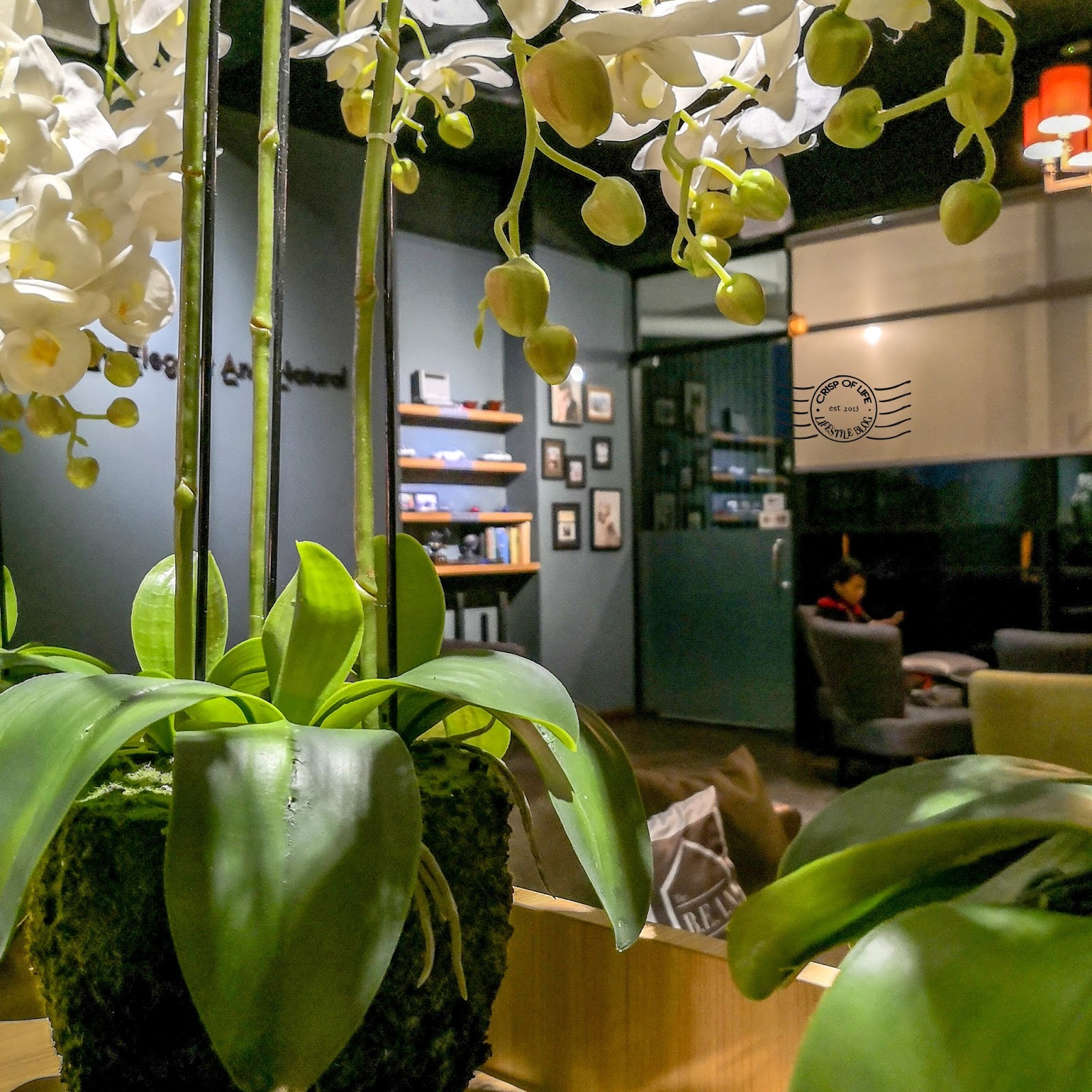 The Bean Cafe Lido Plaza, Kota Kinabalu, Sabah Crisp of Life