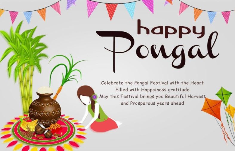 Pongal Wallpapers