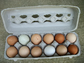 2012 Farm Fresh Eggs