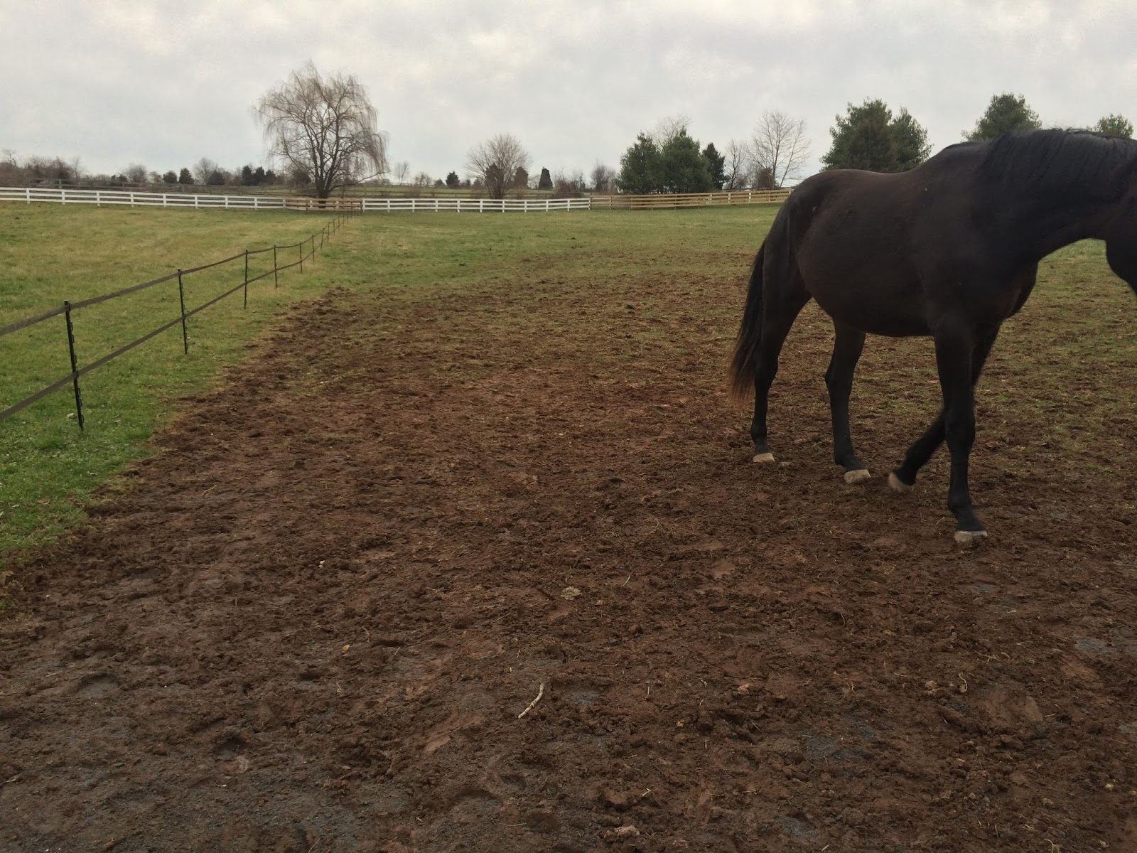 Building & Managing the Small Horse Farm Dry Lot Construction (with