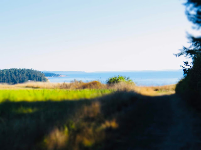 Pratt Loop Trail at Robert Y. Pratt Preserve, Coupeville, Whidbey Island