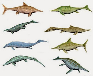 Stuff and nonsense presented as science is frequently nothing more than storytelling. Such is the case with marine reptile evolution and locomotion in critters like ichthyosaurs.