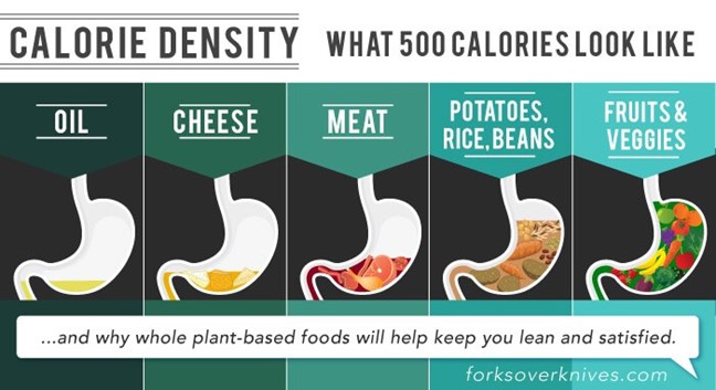 What 500 Calories Look Like