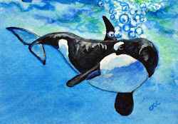 orca watercolor whales freedom whale painting ocean wild aceo sound carrigan colleen
